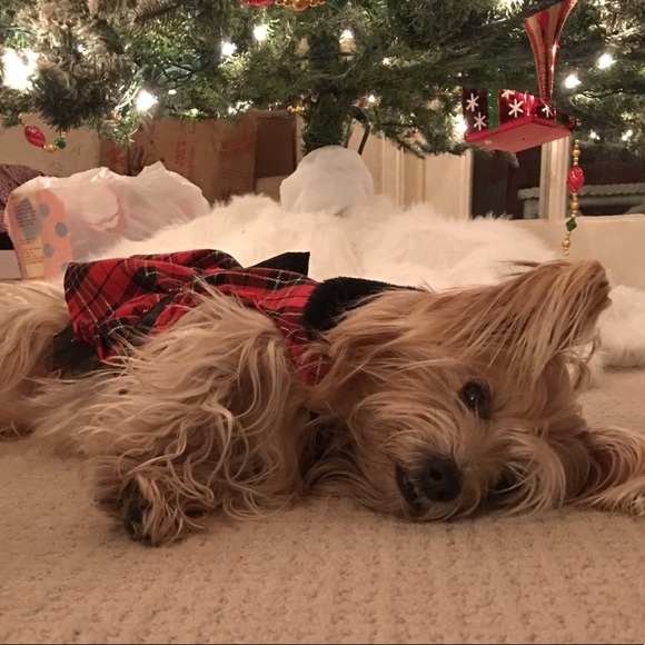 Meet your Posher, Cindy - Picture 2 of 8